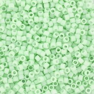 Miyuki delica beads 11/0 - Opaque matte light mint DB-1516